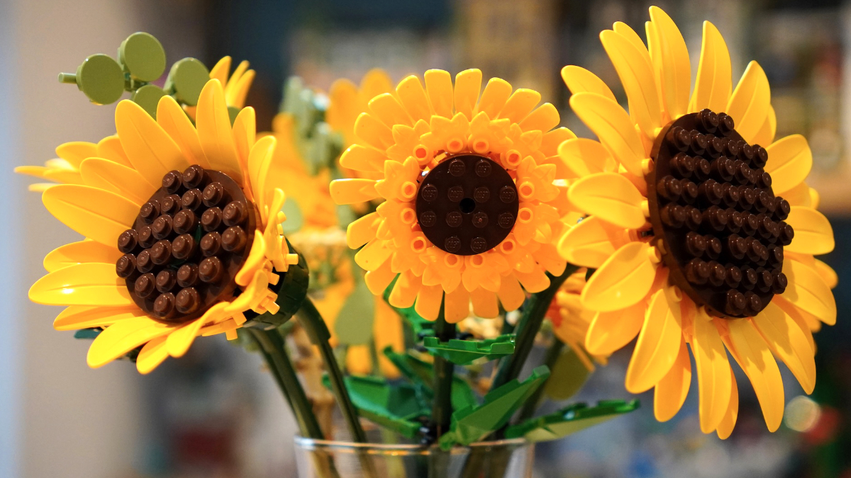 LEGO Botanicals aren’t what they used to be