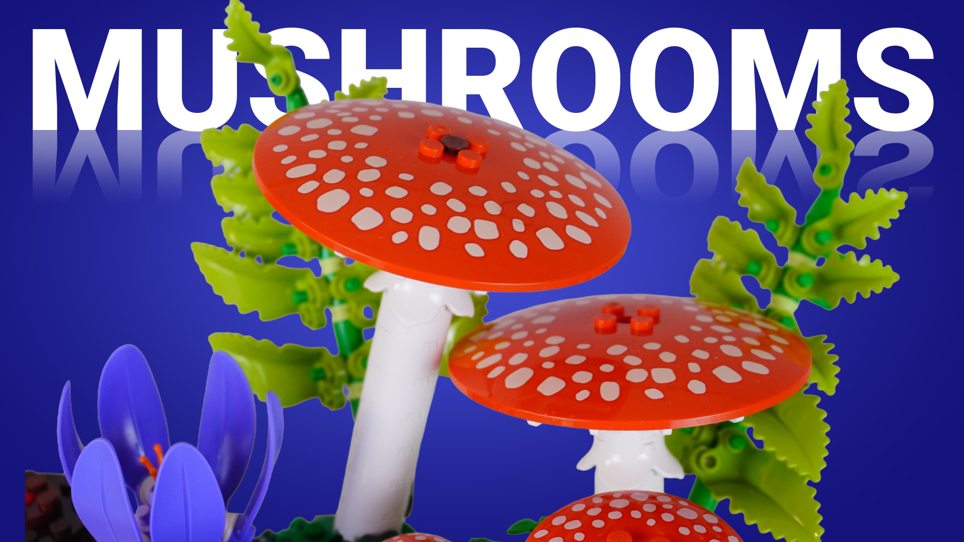 Hands-on with LEGO Botanicals Woodland Mushrooms